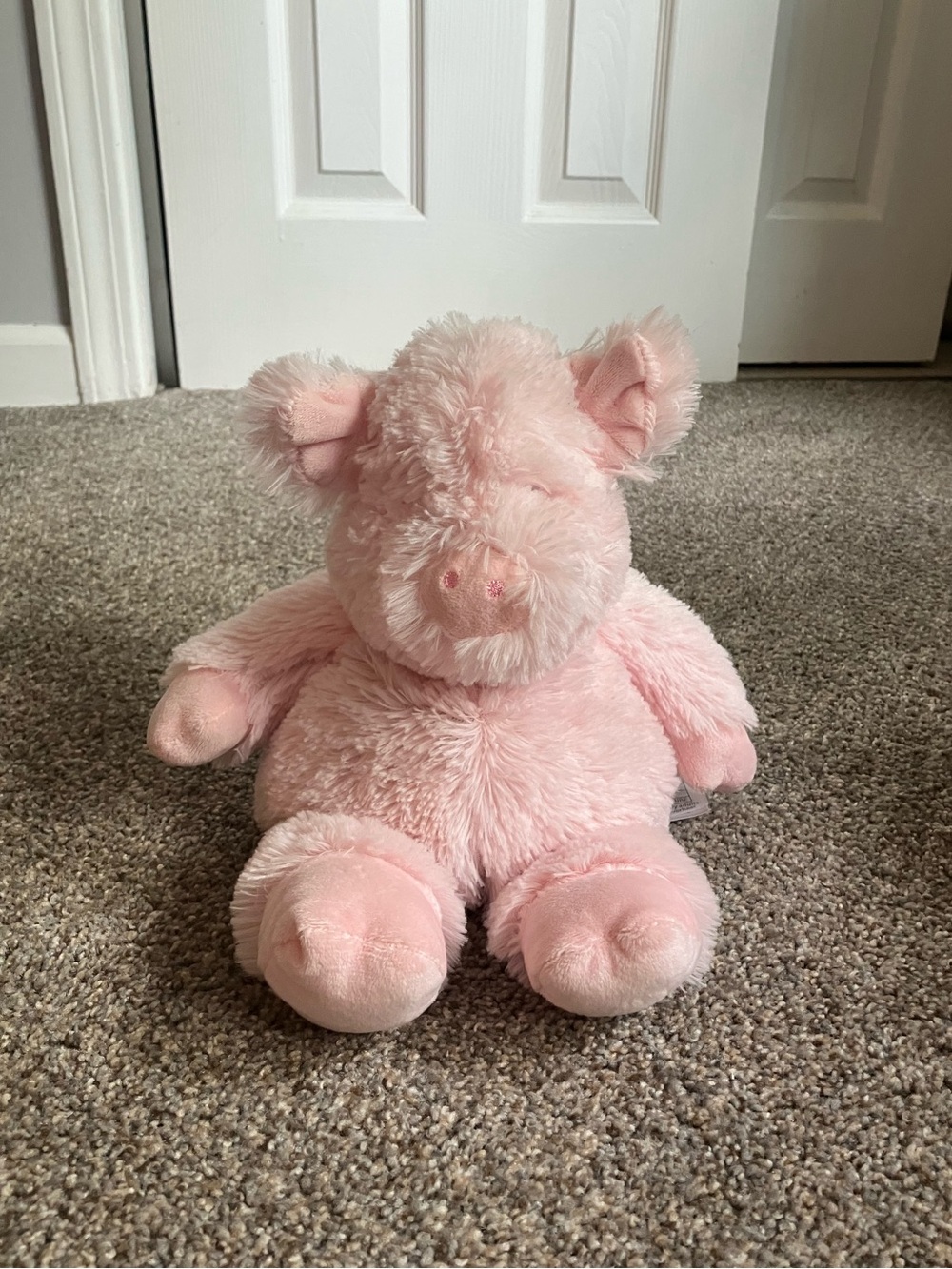 Warmies Pig EUC